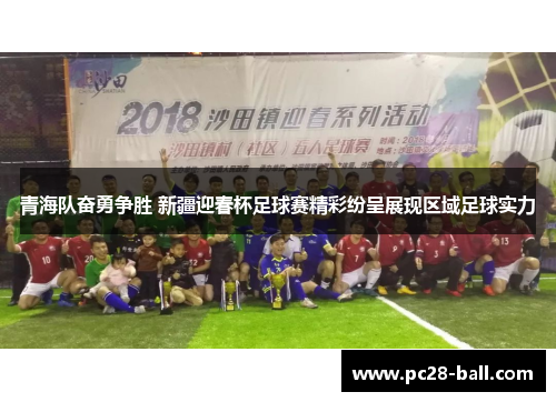 青海队奋勇争胜 新疆迎春杯足球赛精彩纷呈展现区域足球实力
