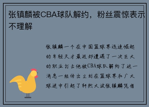 张镇麟被CBA球队解约，粉丝震惊表示不理解